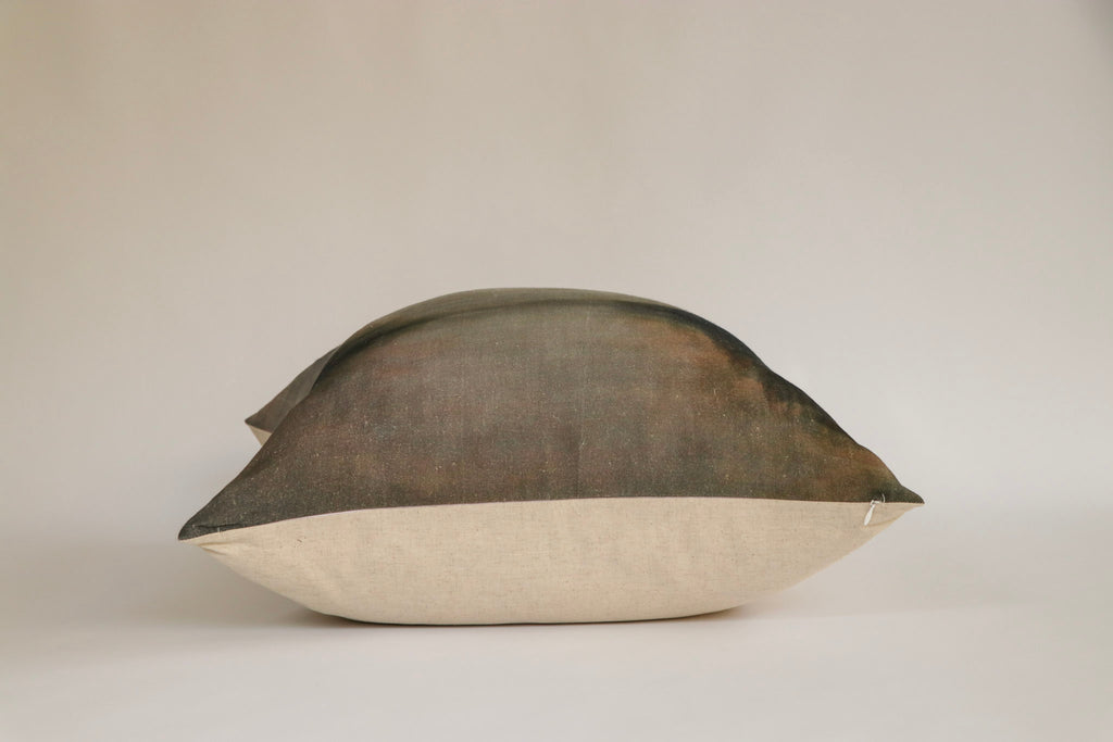 NEW | Winter Reflection Euro Cushion