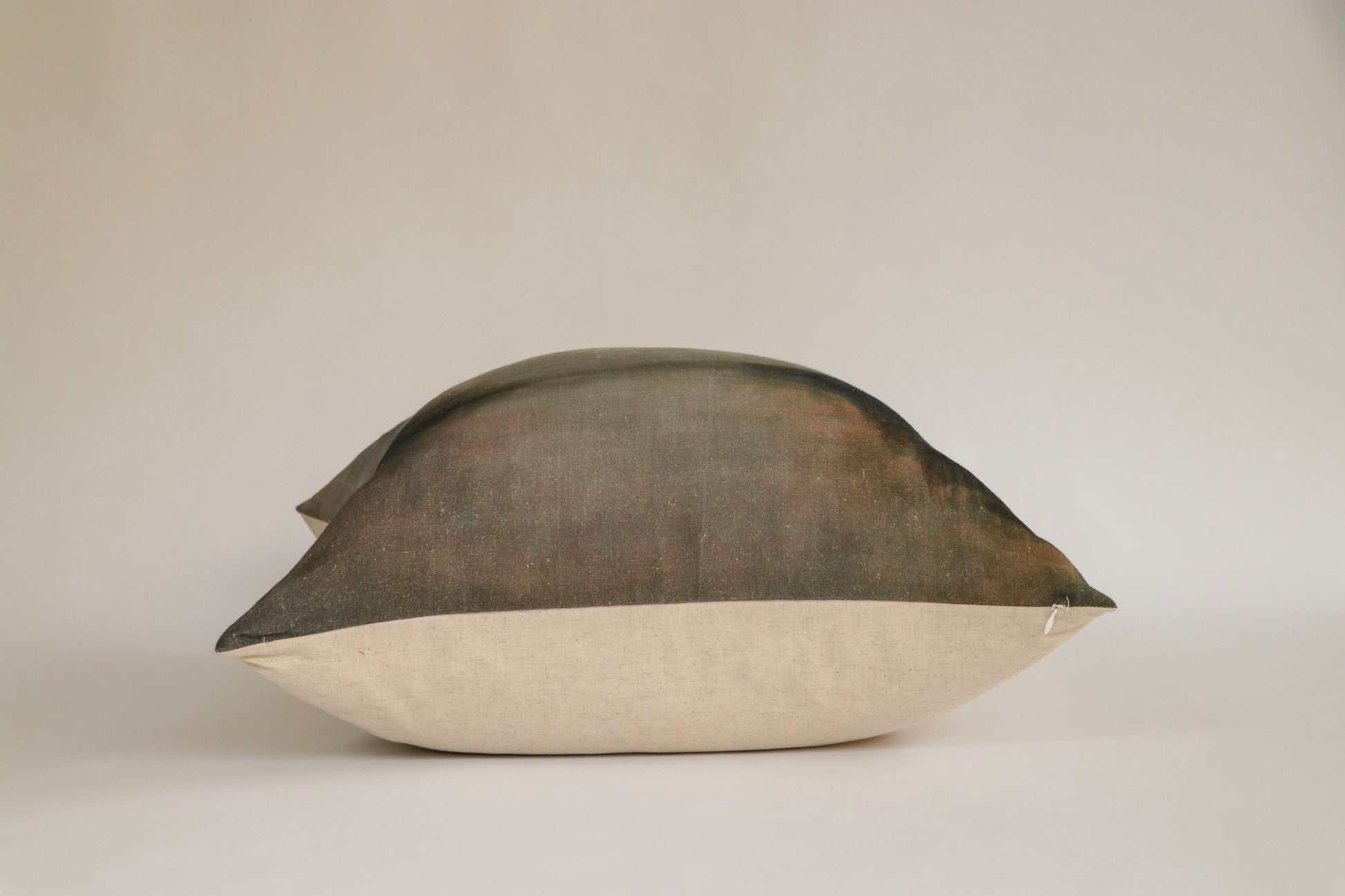 NEW | Winter Reflection Euro Cushion