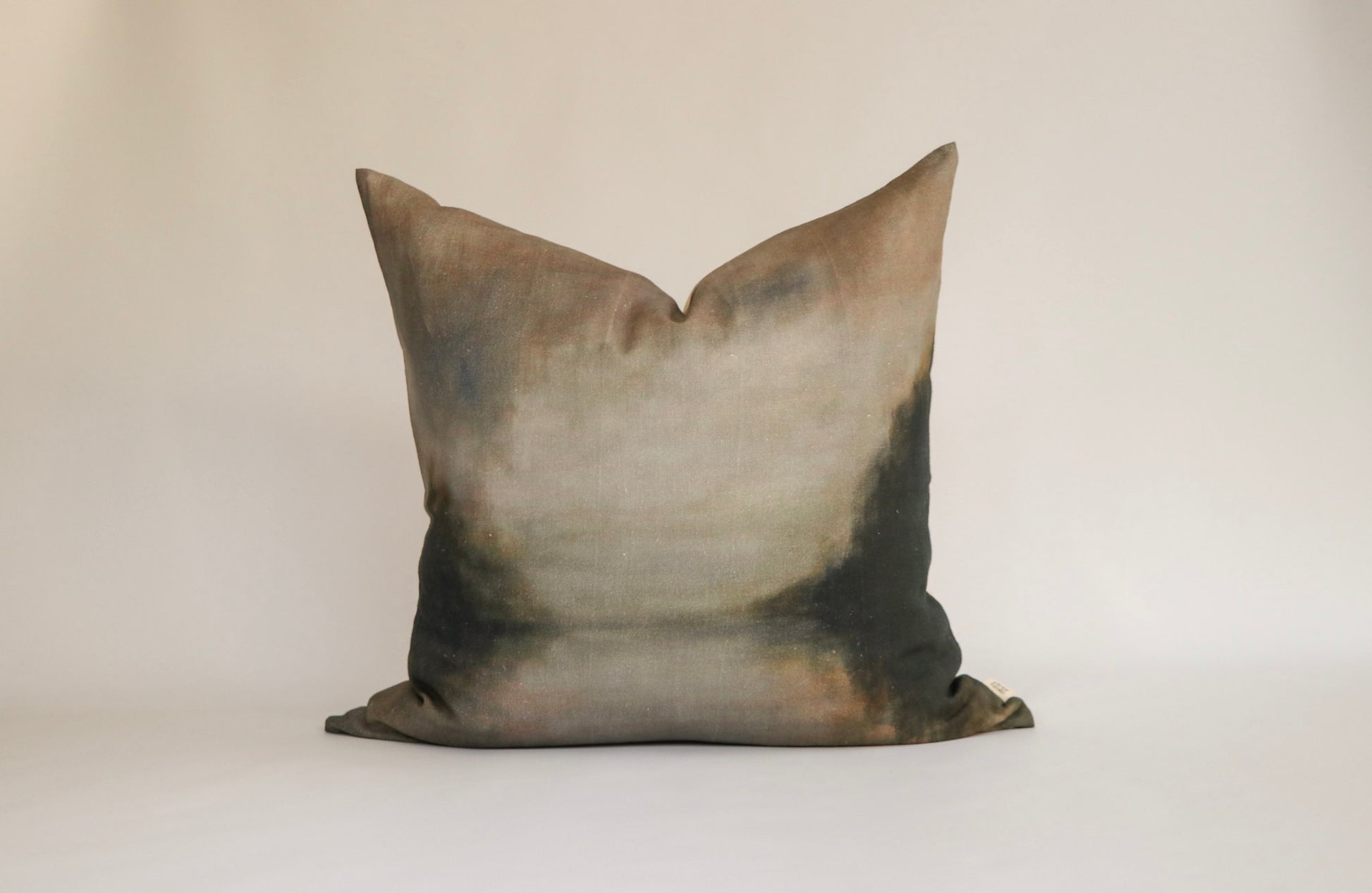 NEW | Winter Reflection Euro Cushion