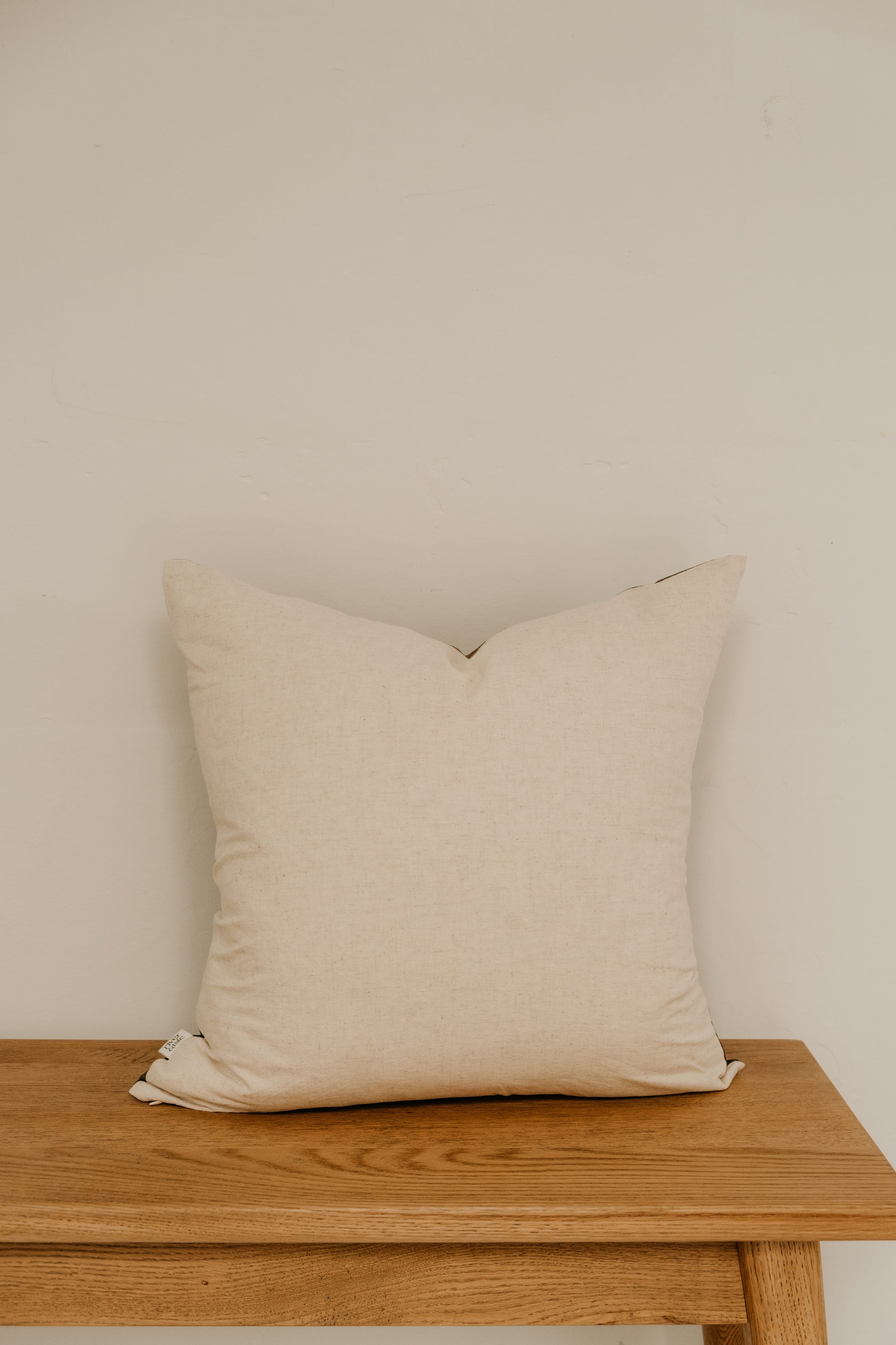 Blush & Pistachio Cushion