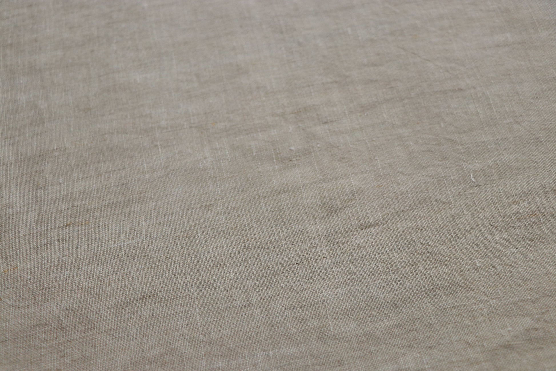 NEW | Waterlily Bloom