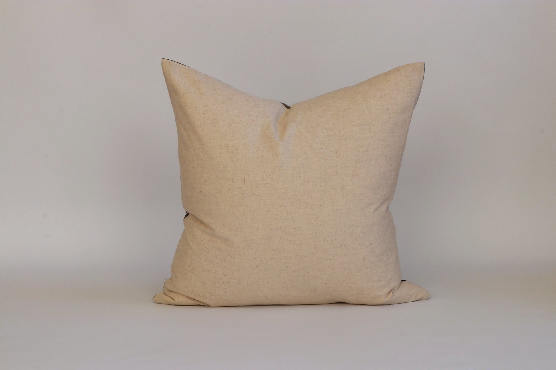 Blush & Pistachio Cushion