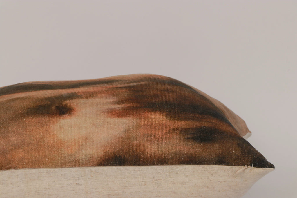 Evening Glow Cushion