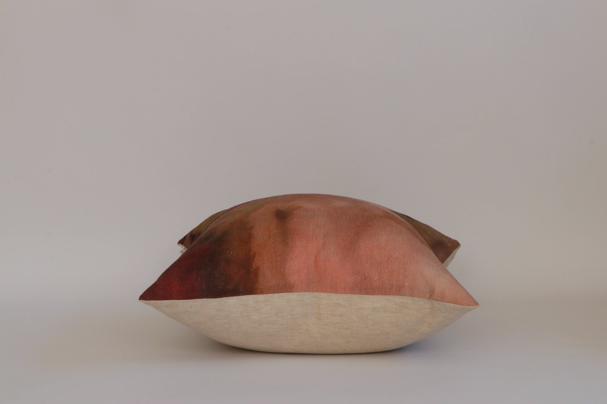 Blush & Pistachio Cushion