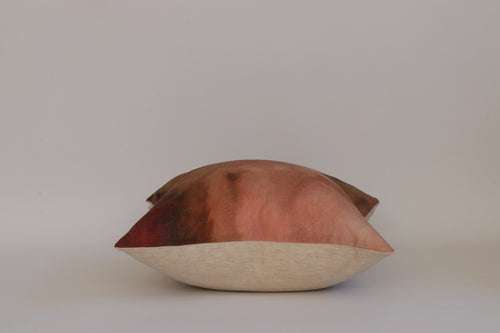 Blush & Pistachio Cushion